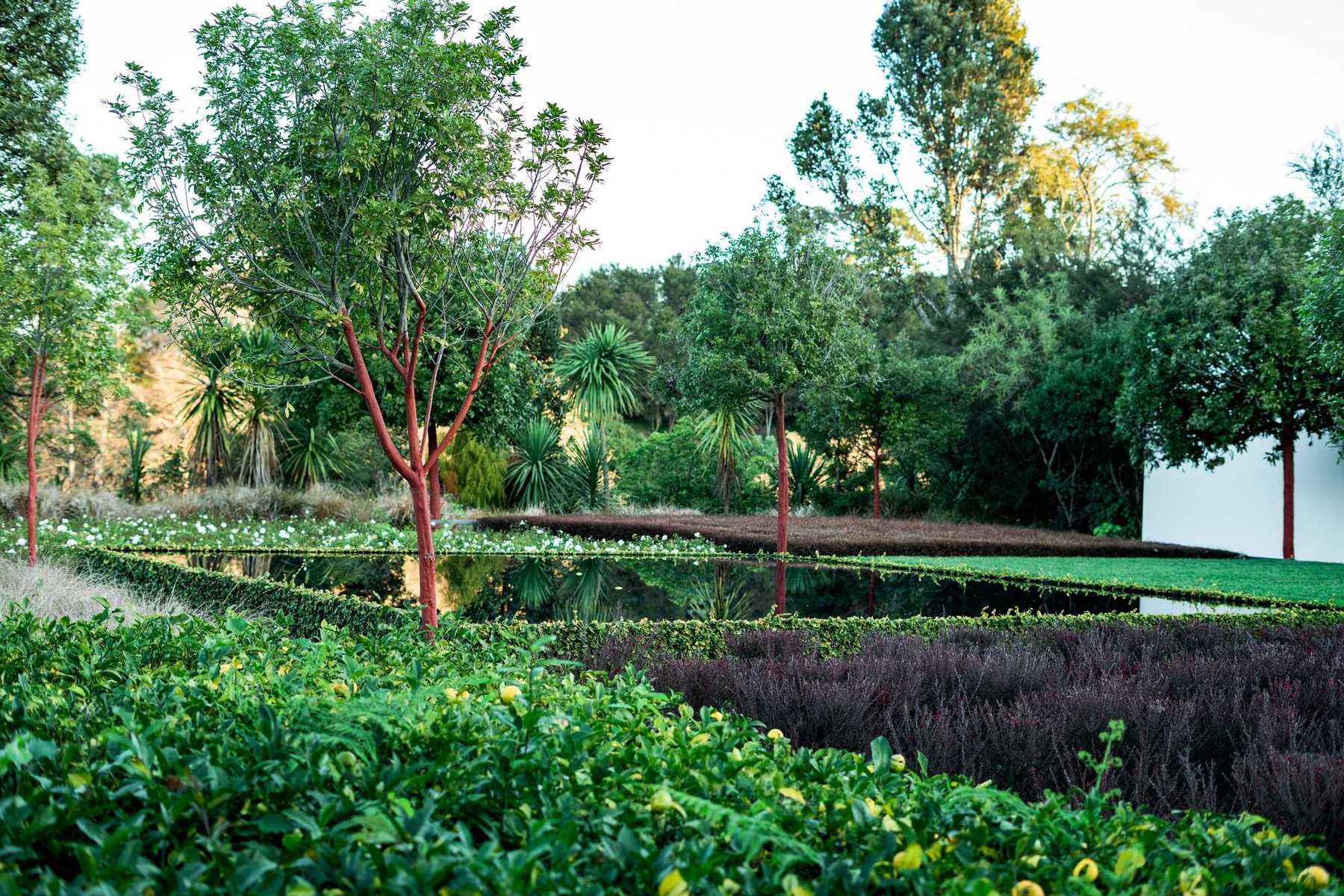 Beautifully landscaped garden with lush planting in Auckland