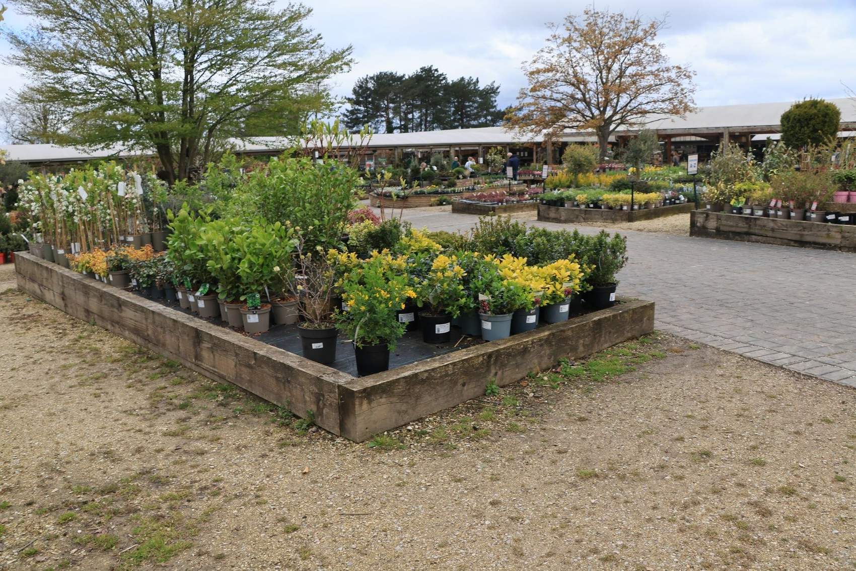 A central Auckland garden project by Urban Leaf Landscaping